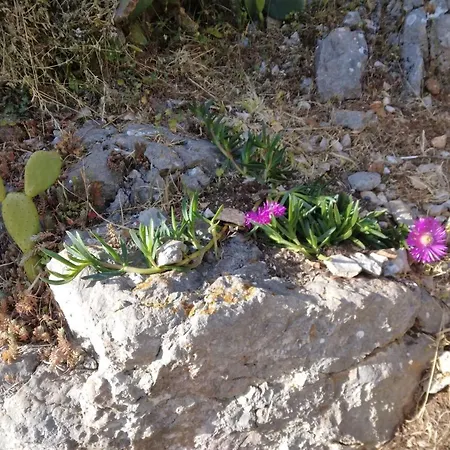 Appartement Roki Rogacic