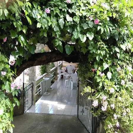 Roki Apartmán Rogacic