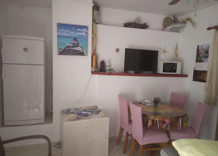 Apartment Roki