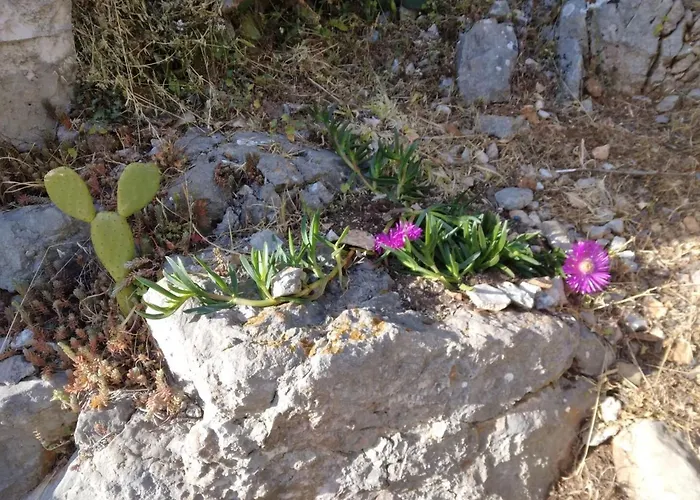 Appartement Roki Rogacic